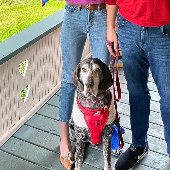 Levi’s | Wedgie Fit Ankle Women’s Jeans in Athens Pushed - Light Wash - Picture 10 of 13